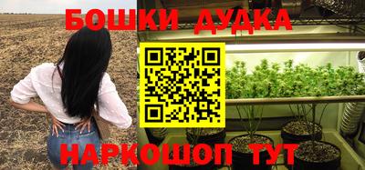 прущие крисы Канаш