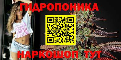 прущие крисы Канаш