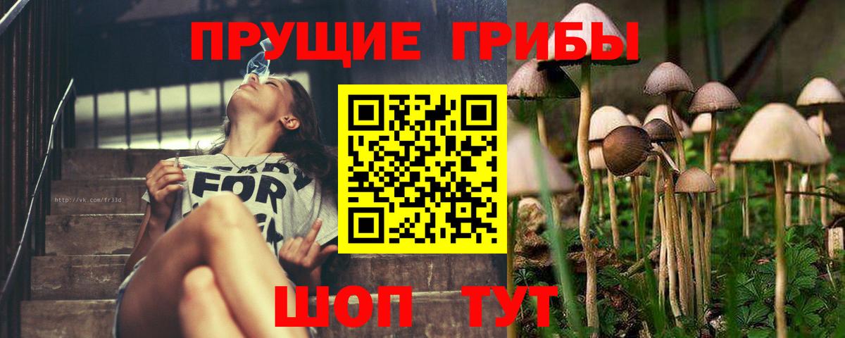 Ялта  Галлюциногенные грибы Magic Shrooms  Вход с VPN 